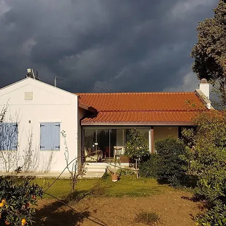 Daki Eviniz Mese Agaci Villa Datça