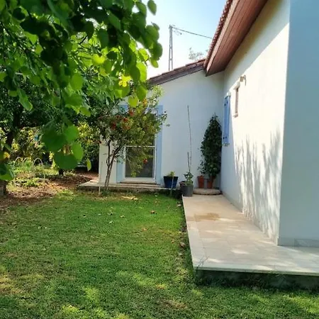 Daki Eviniz Mese Agaci * Datça
